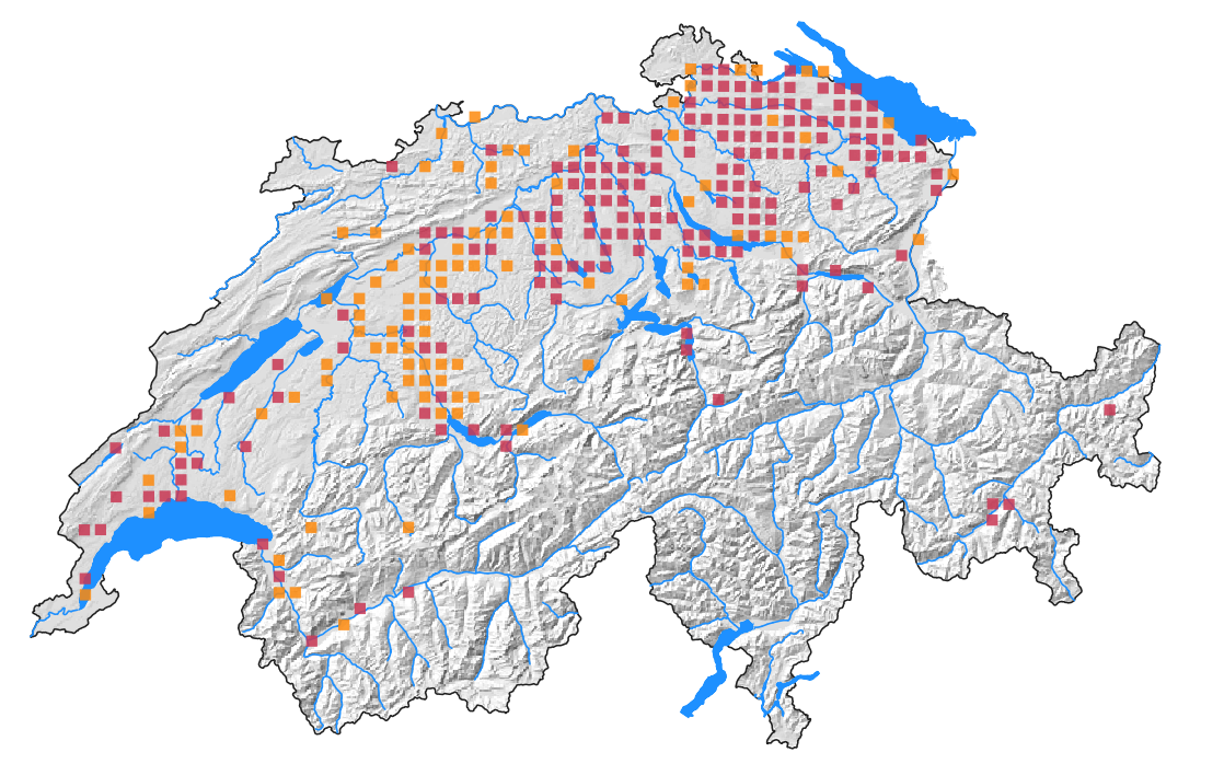 karte Verbreitung in der Schweiz
