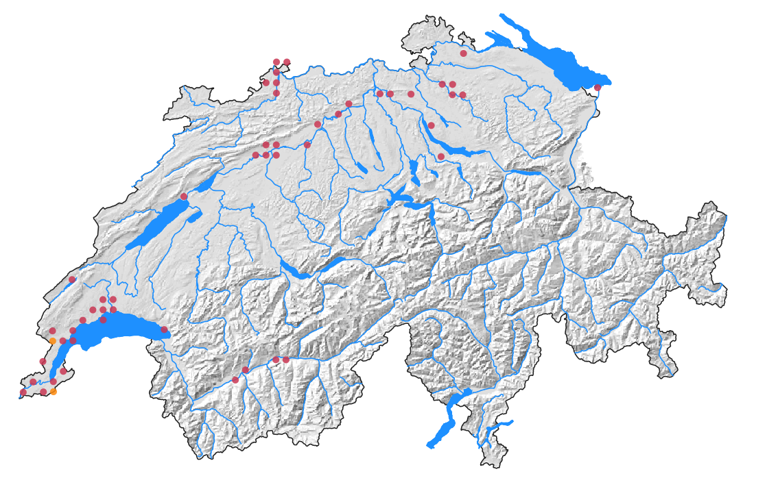 Verbreitungskarte Schweiz